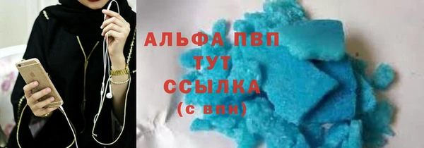 МДПВ Пересвет