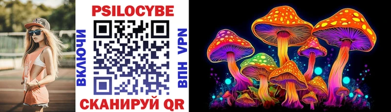 закладки Красный Кут Псилоцибиновые грибы Psilocybe